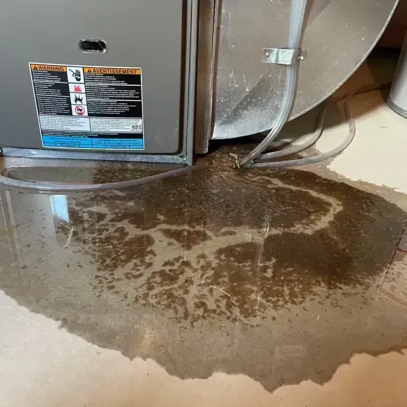 Appliance Leak Cleanup in Wamac, IL